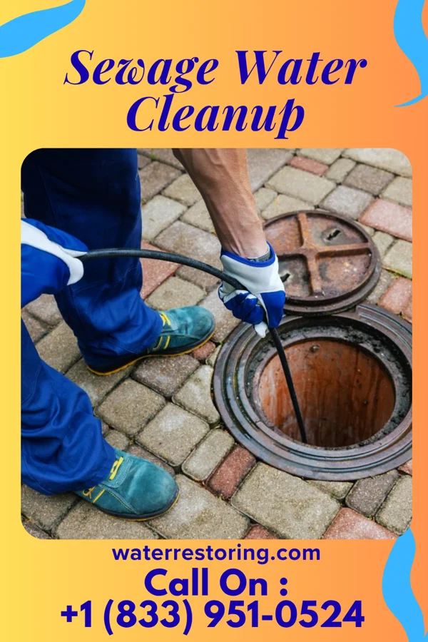 Sewage Water Cleanup in Arroyo Grande, CA